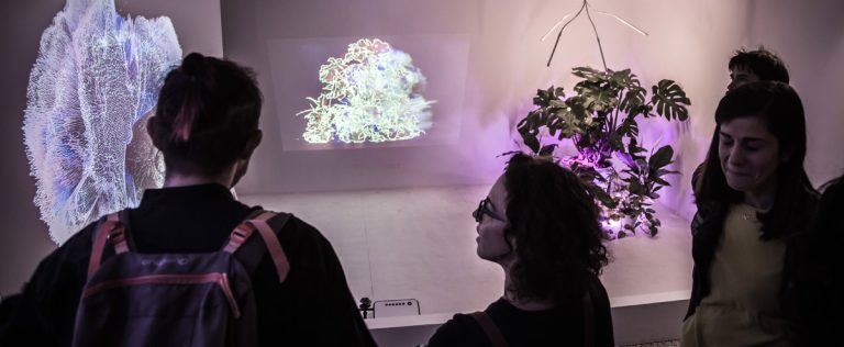 Data-síntesis: Máquina Orgánica workshop (Canal Connect 2023)