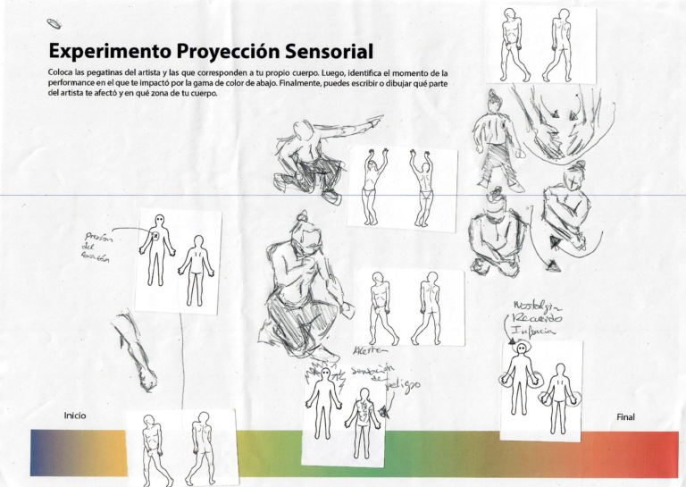 Sensory Projection