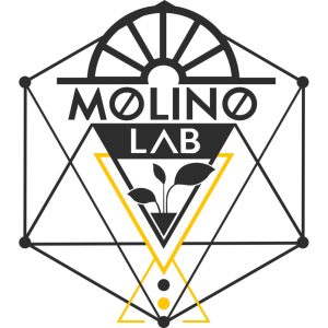 Logo Molino Lab
